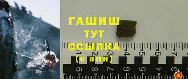 индика Туринск