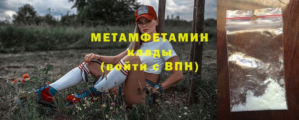 индика Туринск