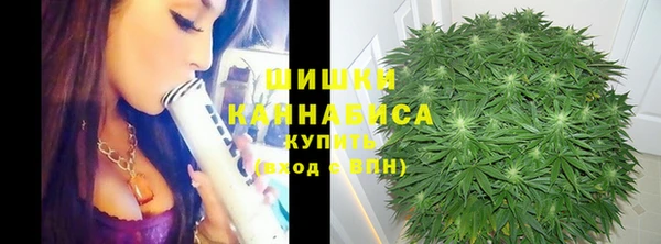 индика Туринск