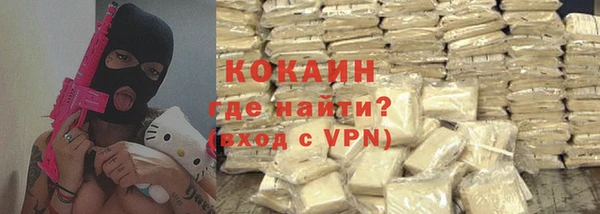 индика Туринск